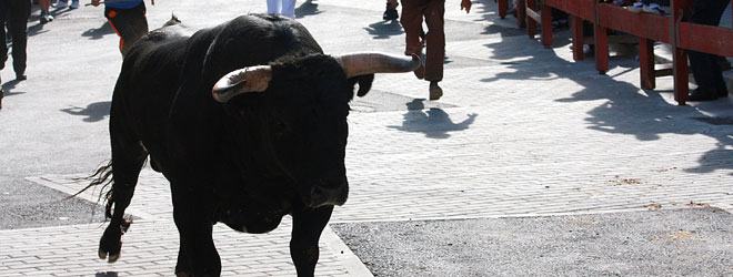 Encierro en San Agustín de Guadalix