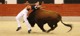 Toros en Las Rozas