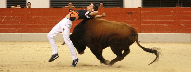 Toros en Las Rozas