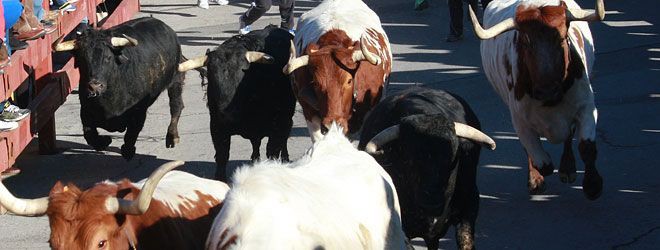 toros Valdemorillo