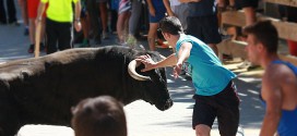 Encierro en Trillo