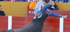 Encierros de Guada