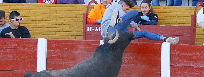 Encierros de Guada