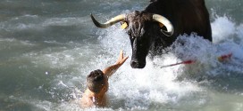 Vacas por el Tajo 2015