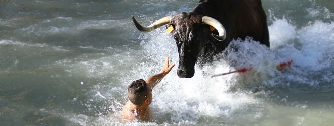 Vacas por el Tajo 2015