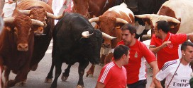 Encierro de Brihuega 2015