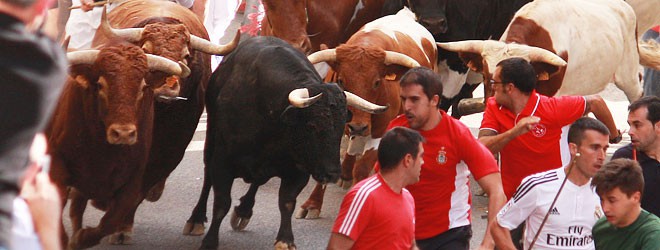 Encierro de Brihuega 2015