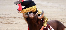 Novillada en Las Ventas