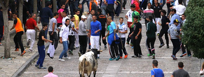 toros Brihuega