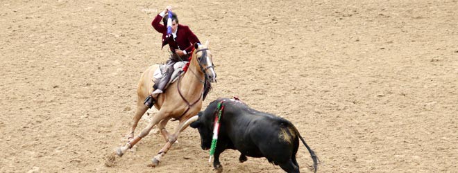 rejones en Madrid