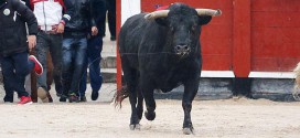 Colmenar de Oreja