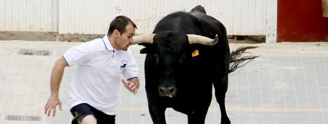 Encierro en Trillo