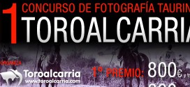 Concurso de fotografía Taurina