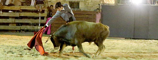 Toros en Azañón