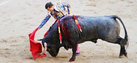 toros de Adolfo