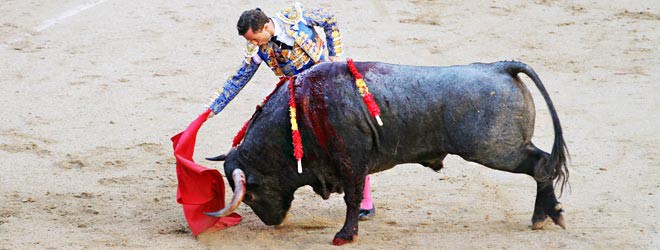 toros de Adolfo