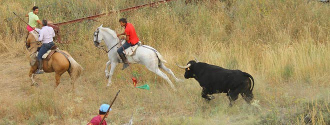 Encierro Brihuega