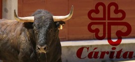 Toros y Cáritas