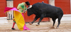 Toros de Samuel Flores