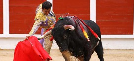 Toros en Guadalajara