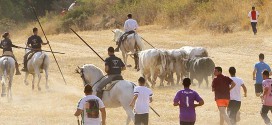 Encierro en Malacuera