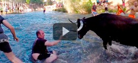 vacas por el tajo