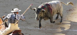 Toros de Victorino