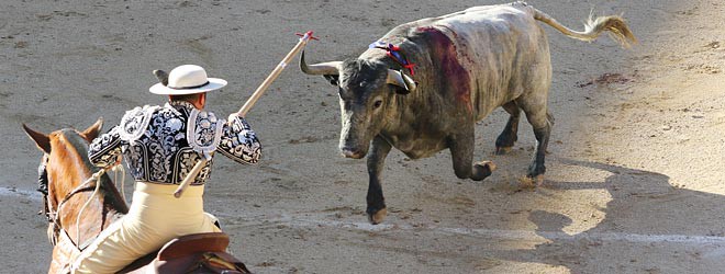 Toros de Victorino