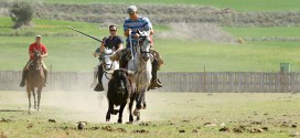 corredero de vacas