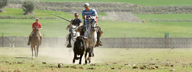 corredero de vacas