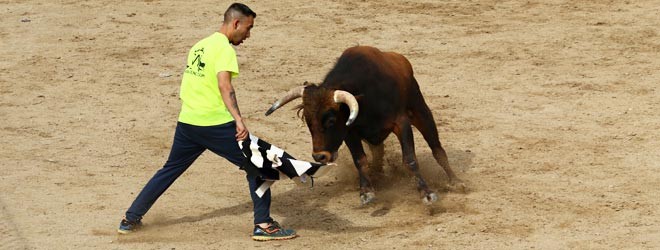 Capea en Cobeña