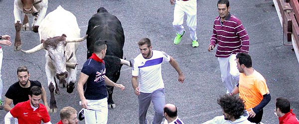 Encierro de Guada 2017