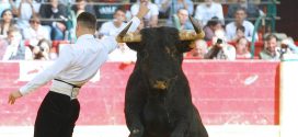 Recortadores en Zaragoza