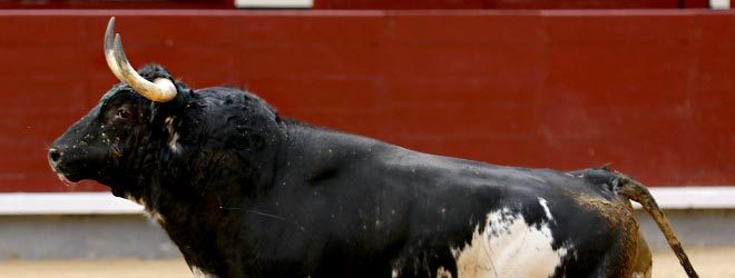 Desencajonada en Las Ventas