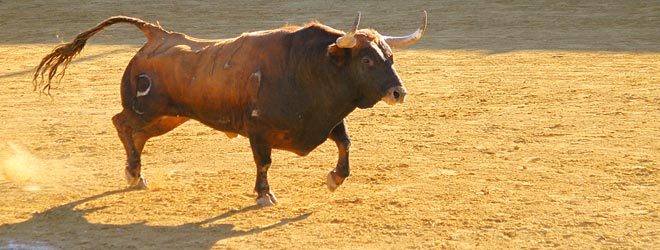 Encierro de Yunquera