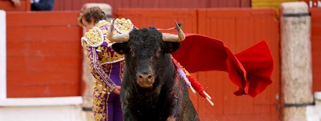 Román torero