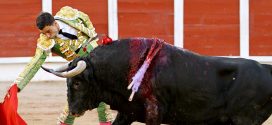 toros-guadalajara