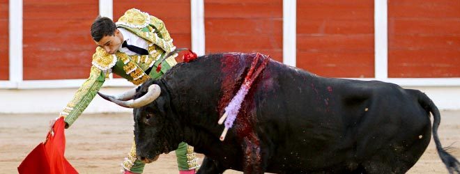 toros-guadalajara