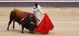 Toros de Baltasar Iban