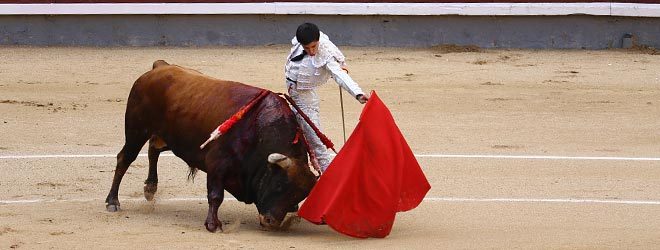 Toros de Baltasar Iban