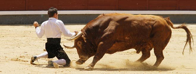 Recortador de élite