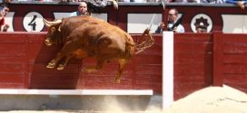 Detalles de Las Ventas