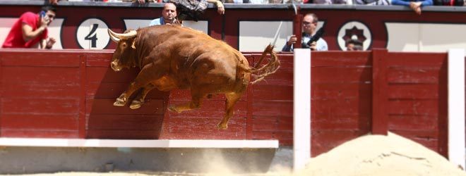 Detalles de Las Ventas