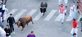 Segundo Encierro de Guada 2018