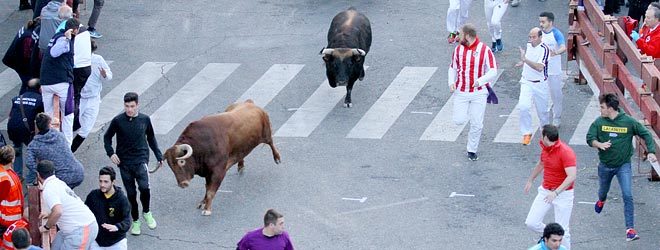 Segundo Encierro de Guada 2018