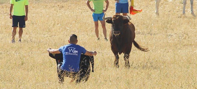 Encierro por el campo de Torija