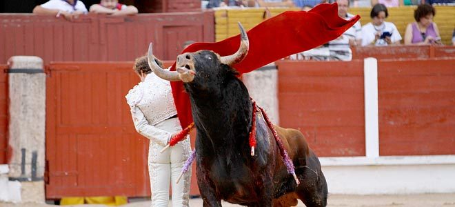 Toros de Pedrés