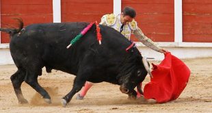 Ponce en Guadalajara