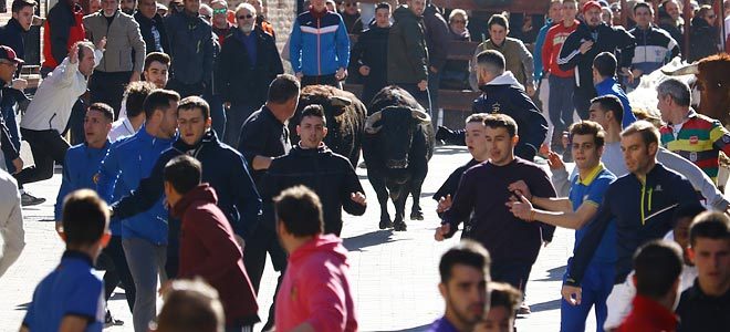 Encierro Ajalvir domingo 2019