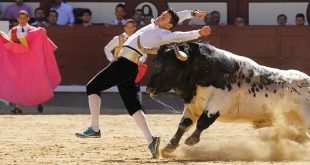 Recortadores en Las Ventas